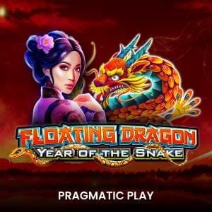 Floating Dragon - Year of the Snake game cover